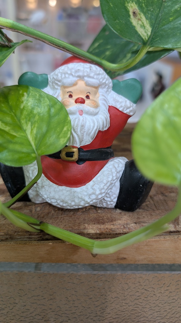 今年もこんな時期がやってきました。