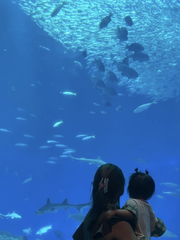 大洗水族館🐠