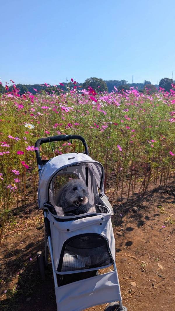 高根沢の鬼怒グリーンパークに行きました✨