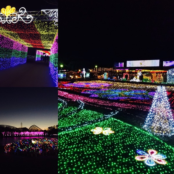 東武動物公園イルミネーション⭐️