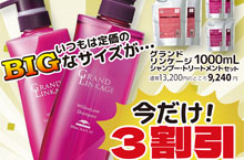 歳末BIGキャンペーン開催中！