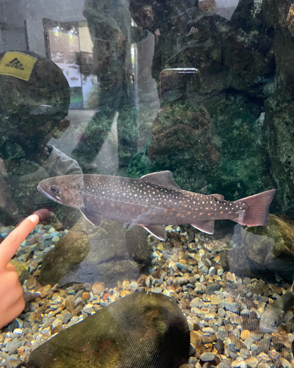 栃木県の水遊園✨