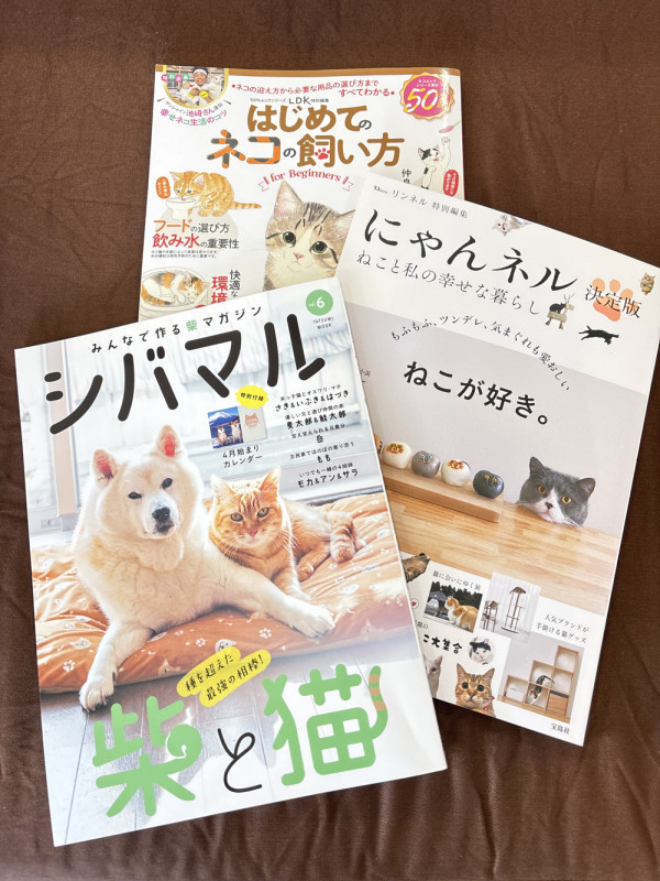 イチオシ店内雑誌🐈！！