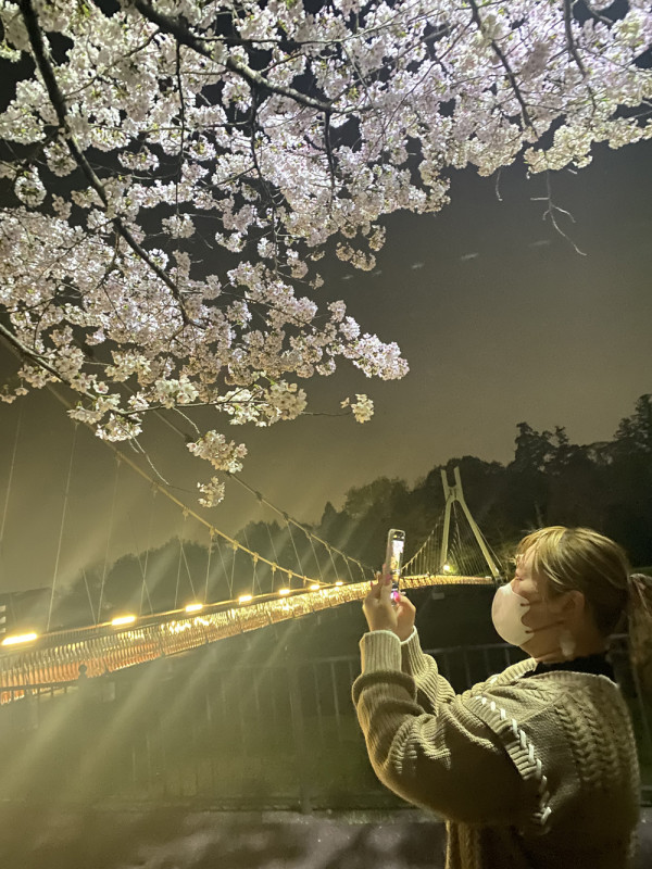 夜桜店長🌸